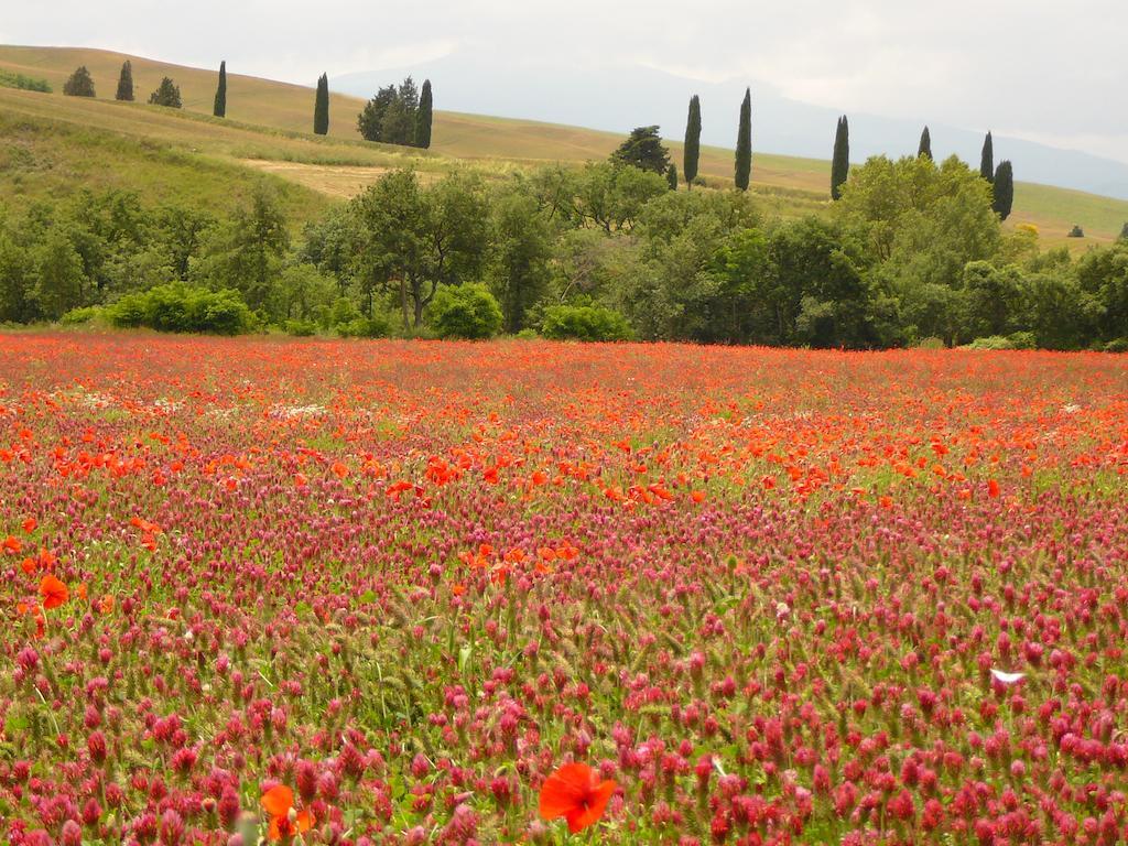 Agriturismo Casalpiano Пиенца Екстериор снимка