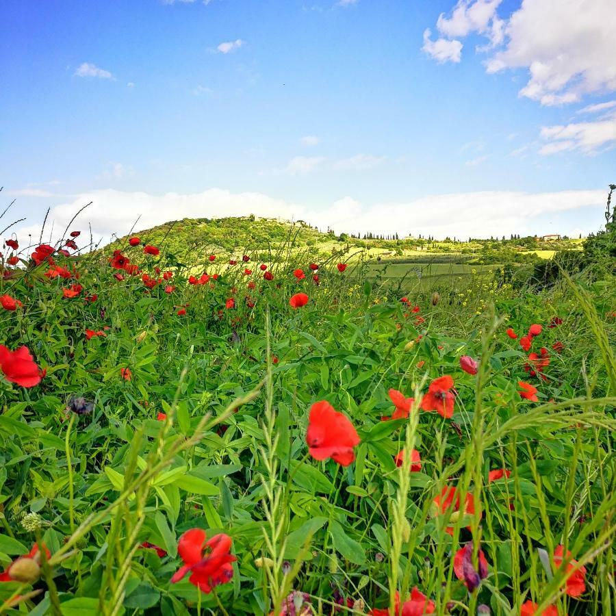 Agriturismo Casalpiano Пиенца Екстериор снимка