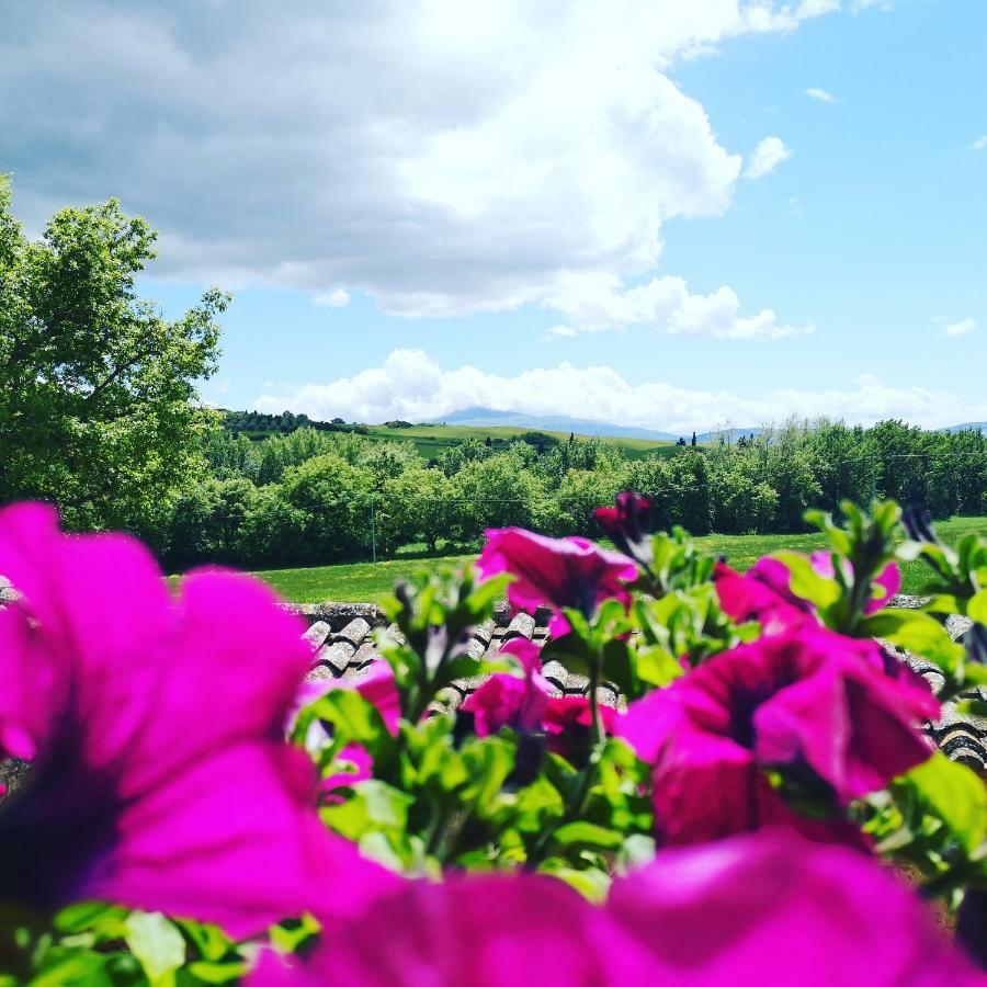 Agriturismo Casalpiano Пиенца Екстериор снимка